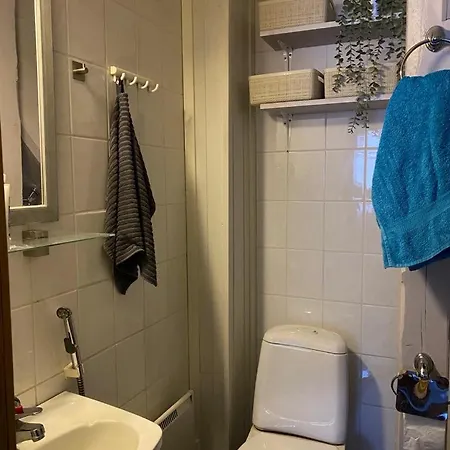 Viihtyisae Ja Tilava Paritaloasunto Hyvaellae Sijainnilla Apartment