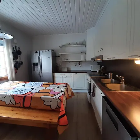 Viihtyisae Ja Tilava Paritaloasunto Hyvaellae Sijainnilla Apartment *