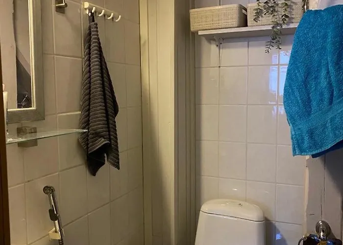 Viihtyisae Ja Tilava Paritaloasunto Hyvaellae Sijainnilla Apartamento